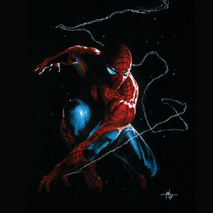 SPIDER-MAN